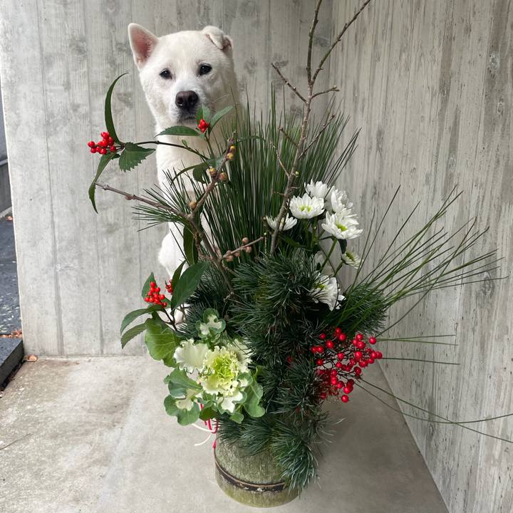 60e7513e dbd2 49b1 a6be f414a2576373 1767200821565