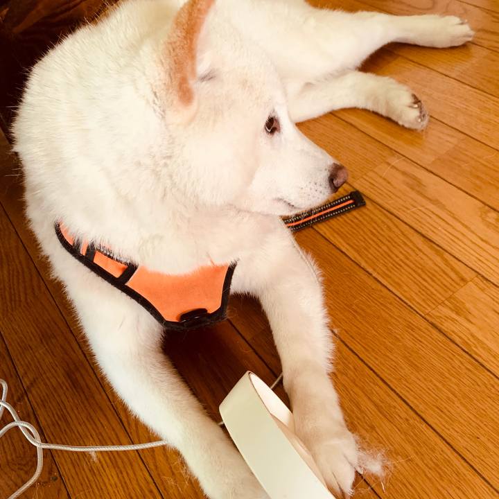 60e75166 4866 4657 9b97 644dfd4bf718 1620700606104