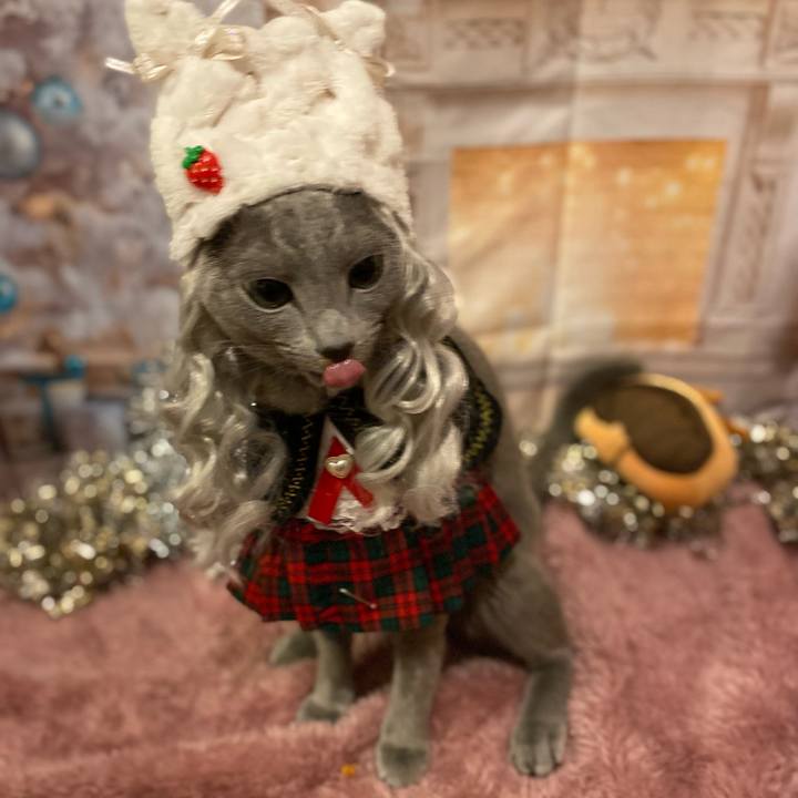 60e77a50 34c7 4e11 8faa 64c7c25712fb 1702697839299