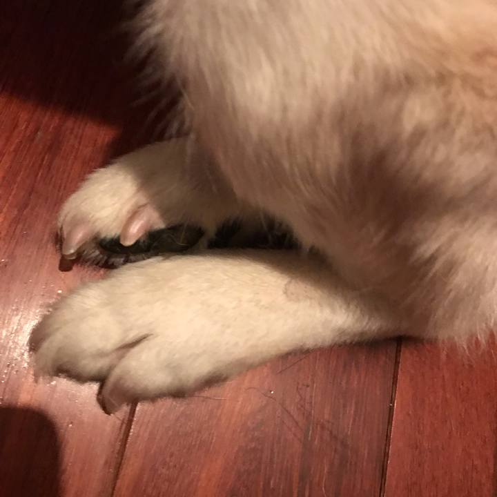 60e7820f b50a 41cc a700 2b8c96672bc7 1567907518758