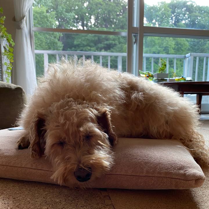 60e78ac5 6c86 4264 bf0e 77320fd407ed 1659688496141