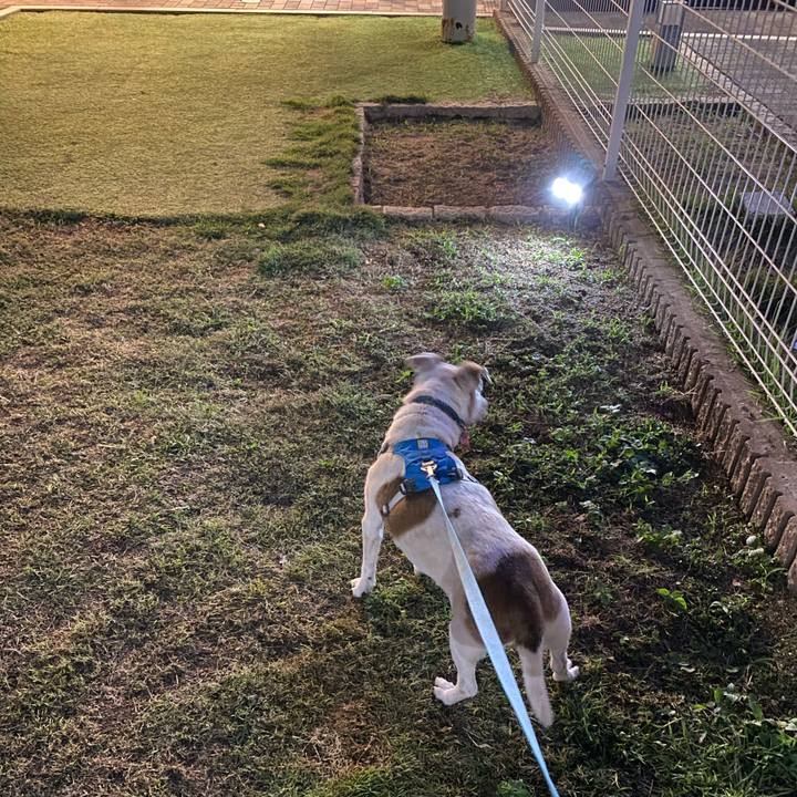 60e7919e 3a12 4074 bcee 55b172b4ed32 1696930183747