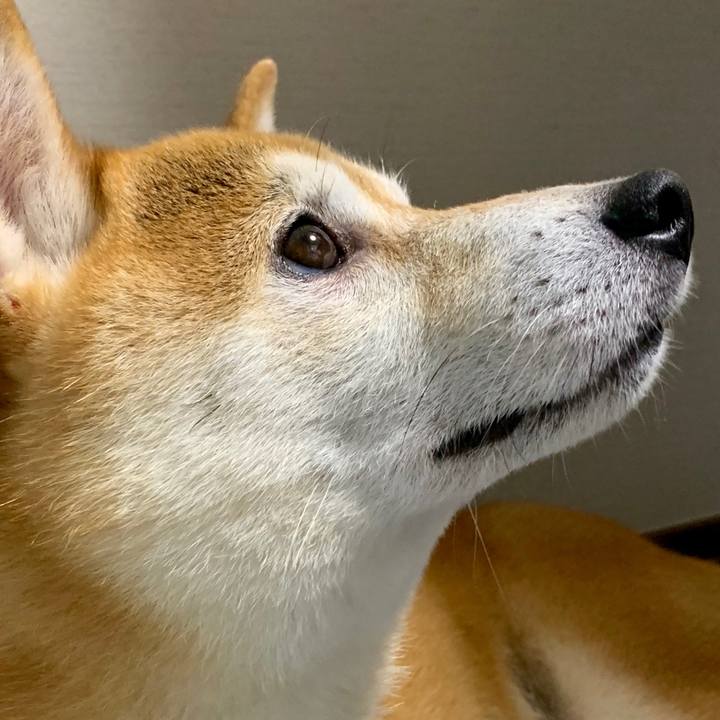 60e7fadd 29d8 4820 bed7 1bf7fbb3807a 1570012079146