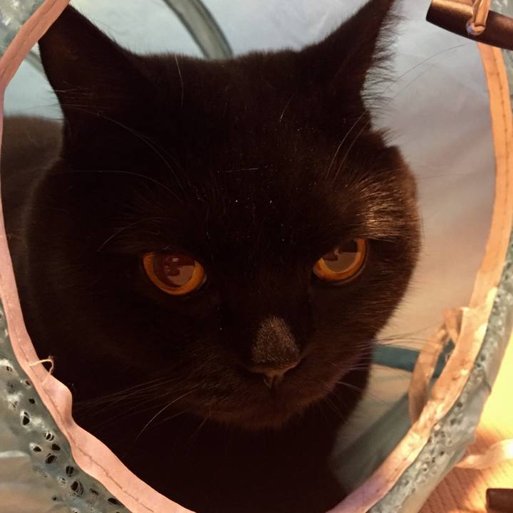 60e86371 f5bb 4c1e bc62 1e9afc20295a 1529326284860