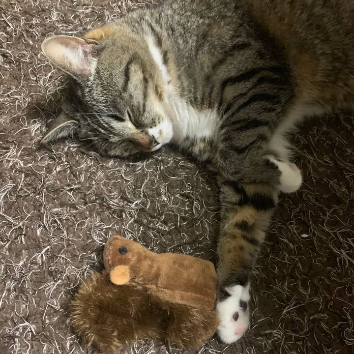 60e86833 7c61 43c5 9d95 43b1601c7c5c 1581243226689