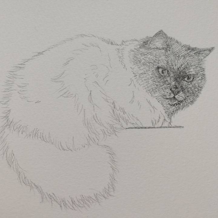 60e8dc8e 628d 49d4 8d08 5d0a2dd3e80f 1545745471883