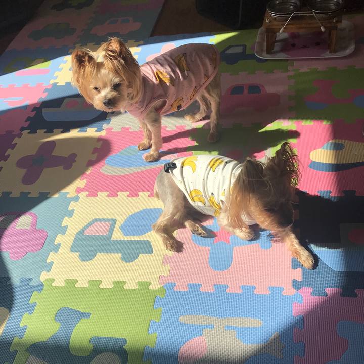 60e9256f bb8f 4a7f 936c 69ddae74b65b 1614938362145