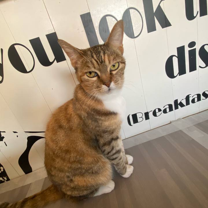 60e9351d c49d 40e8 8946 8d693a37a2bb 1618915783639