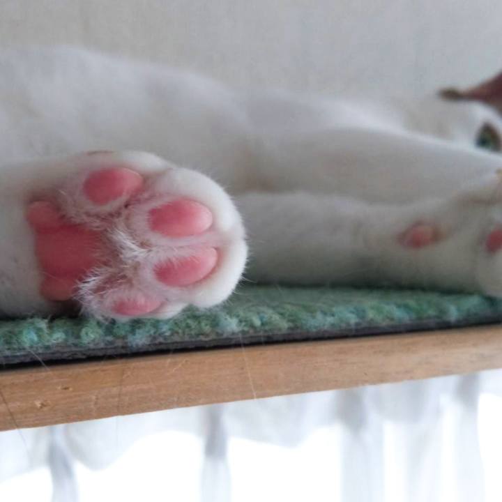 60e93abd 4346 4f31 9901 586342aeeb5f 1702547835665