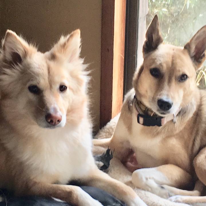 60e941ec 6108 4f3e b772 db3430a79eda 1554686433582