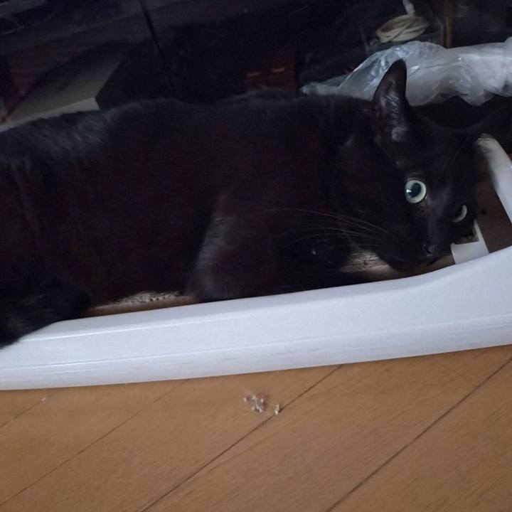 60e97c1e a90b 478a a873 887a3ae8c21d 1755074960123