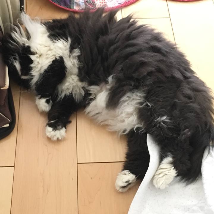 60e9836c 900c 4ee4 a038 07b44b706a1a 1533130092946