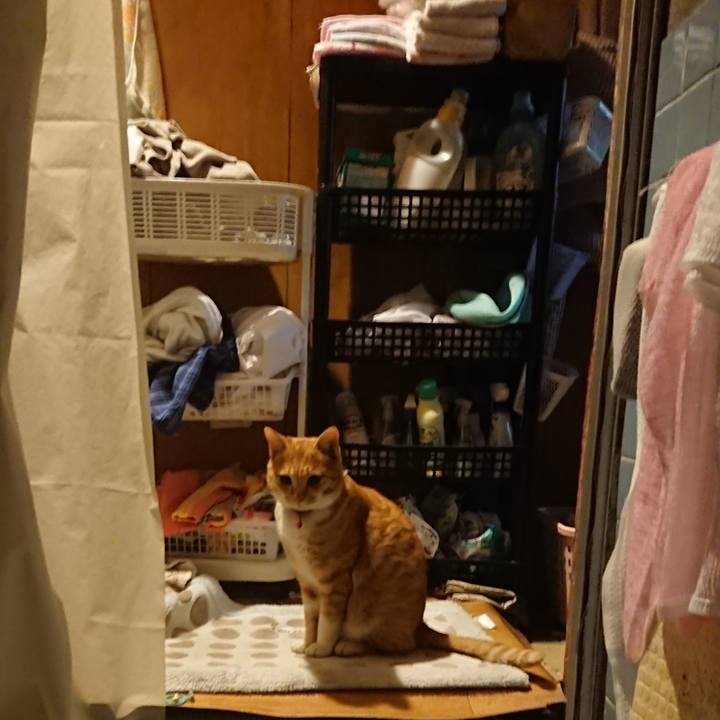 60e98c1f 7774 4867 8bef 54b2b9a72551 1575106147985