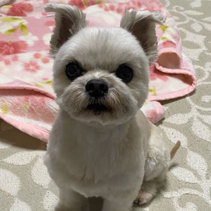 60e9c859 6175 48a1 8886 49ecf2199b36 1703751265760