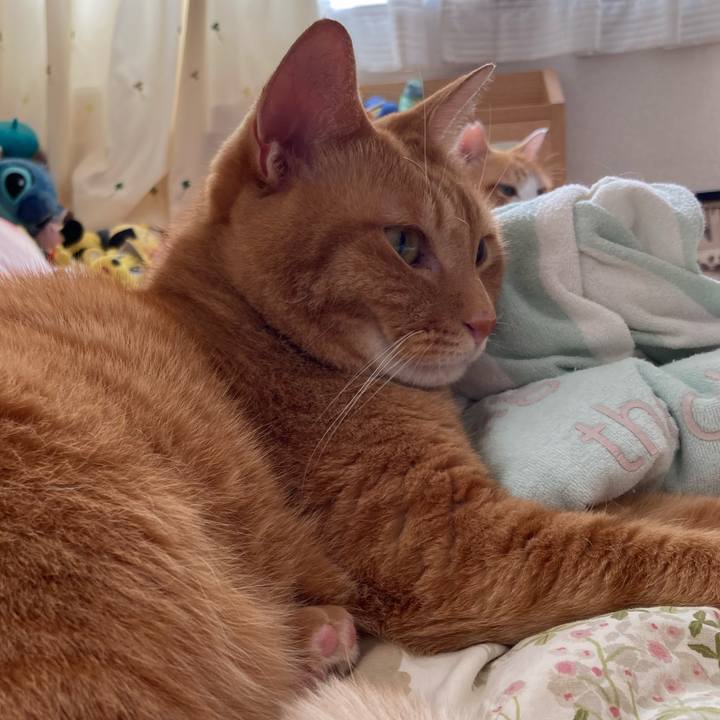 60e9d8a9 e58b 4028 83e9 964138b12a0d 1763773547529