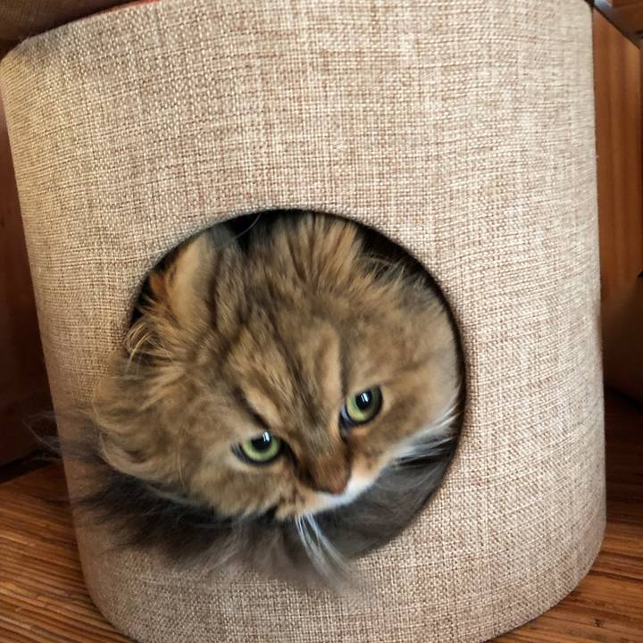 60e9e891 df72 4e1c 9323 f9ea4fb91644 1580717048176