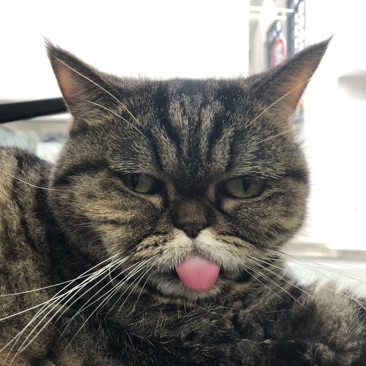 60e9f942 ddaa 4118 b86d 92062dc104c0 1577839236132