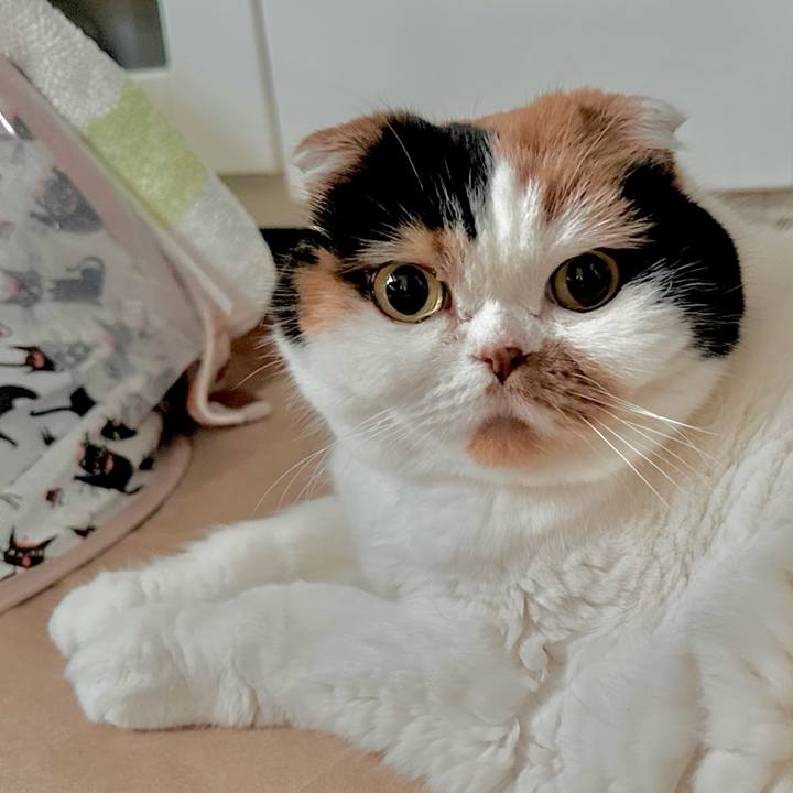 60ea22a5 5b38 4a16 aa21 f98fd4771f10 1701991726603