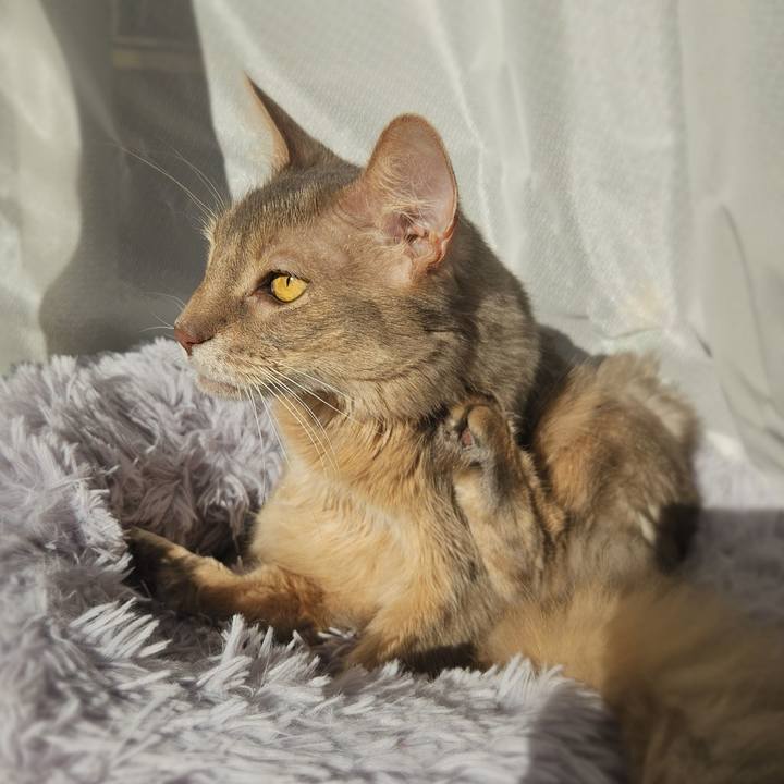 60ea3885 c59e 4d59 92c2 1fefd39d6611 1774443671810