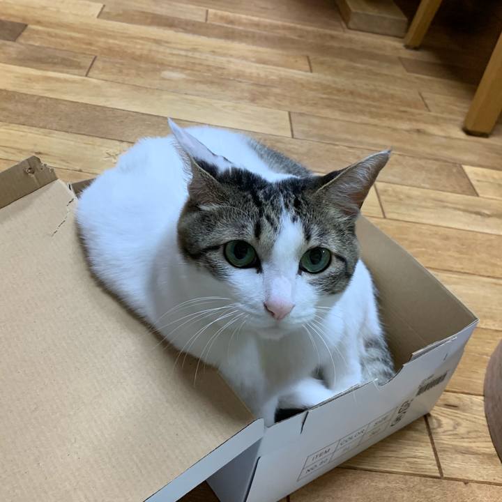 60ea659e 9c8e 4347 8449 6dcde65858cd 1556620485874