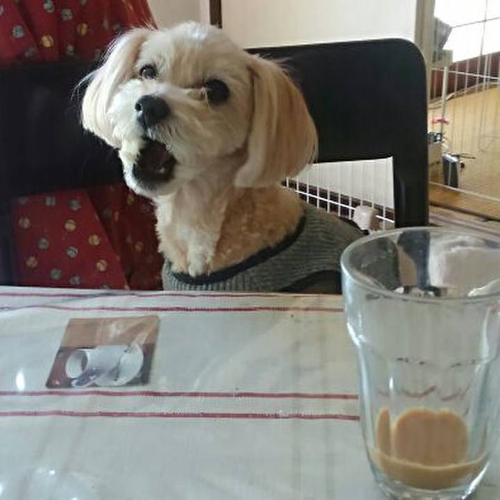 60ea685a 3412 45e5 b17b 259f7f7136d4 1556789007090