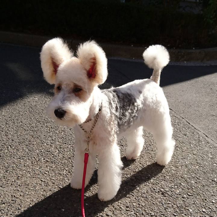 60ea8598 6b6c 4db1 8af3 e273700c58c7 1517806252339