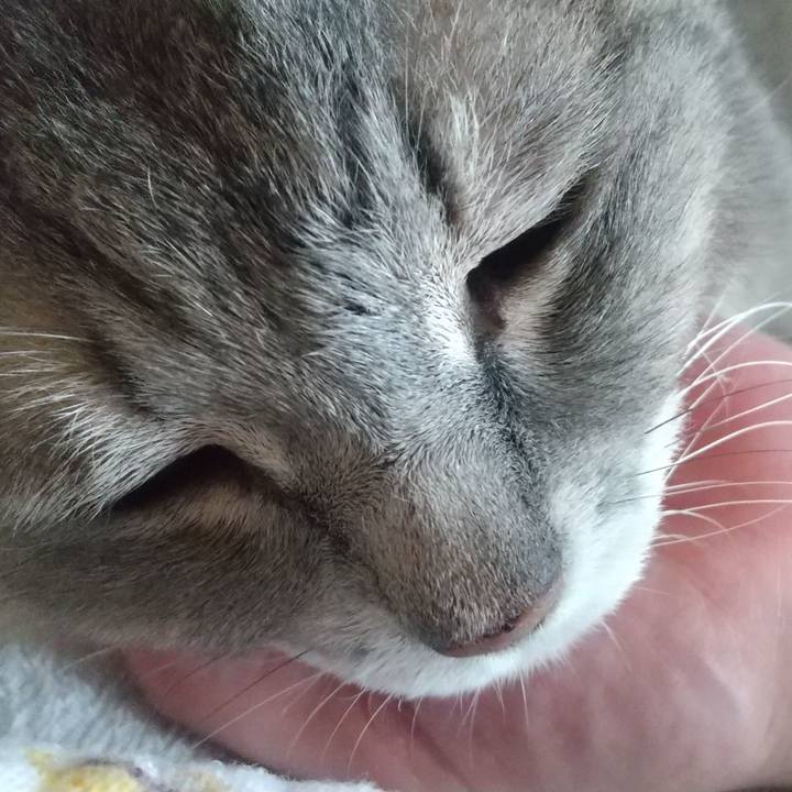 60ea9c2b 5108 4bc6 9fe1 d1e77e2e637b 1761086538156