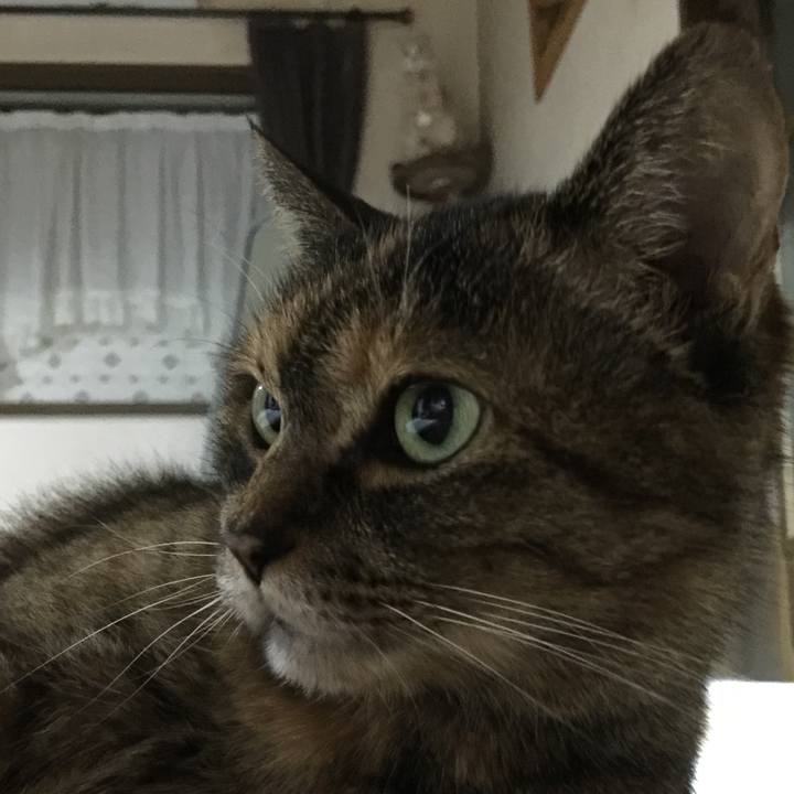 60eaee45 30c0 4ccb beab 0353f1549d54 1522155646348