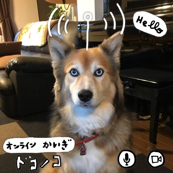 60eb3993 0059 421c 8307 4562e24fa64a 1591105494395