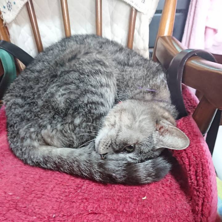 60eb3a0a f54e 4eab bf2f 0310061b366f 1581117544088