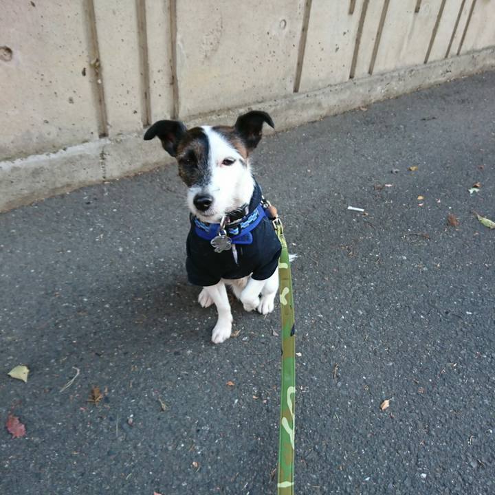 60eb47c1 f296 49ad 9037 96316817a8f2 1513548687859