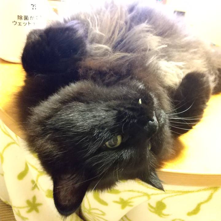 60eb5588 0c4e 4263 89cb 45c0d99bd7cd 1623840788307