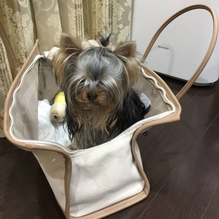 60eb8ba2 1208 4373 acce 454aa433ac95 1604285687290