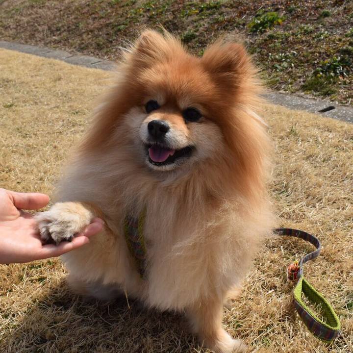 60eb9499 387b 4c56 aea3 5819f5ae87b3 1582265284211