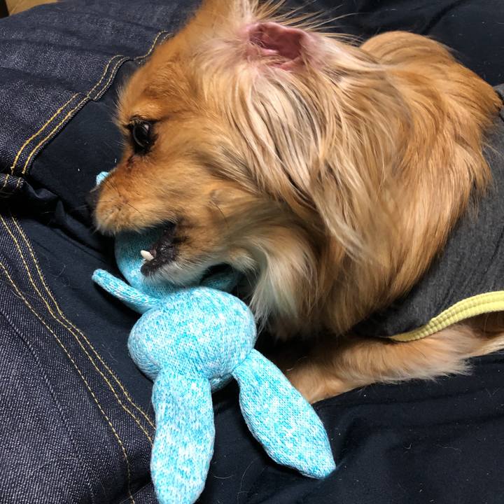 60ebc0dd 6512 453a bf7f 875cbd32ae55 1551604619018