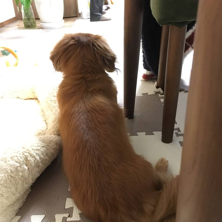 60ebeae2 33c7 49fc 8716 ee8eabe78d93 1543498356170