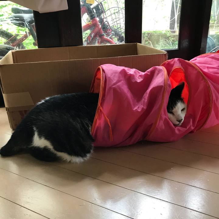 60ebf96a 07aa 49c6 980f 9496cf675d89 1531458560052