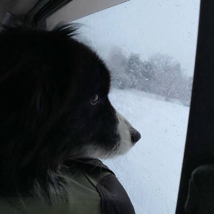 60ec054e f2ee 463b a215 191ad74d7513 1610062893350