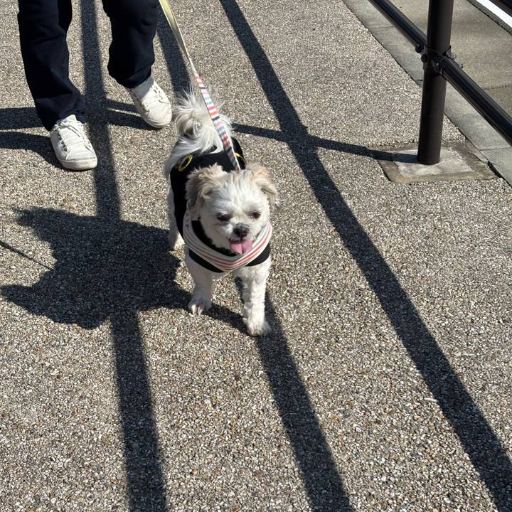 60ec0c7a 1ecc 4ca6 902b 72b819838b9c 1763675434557