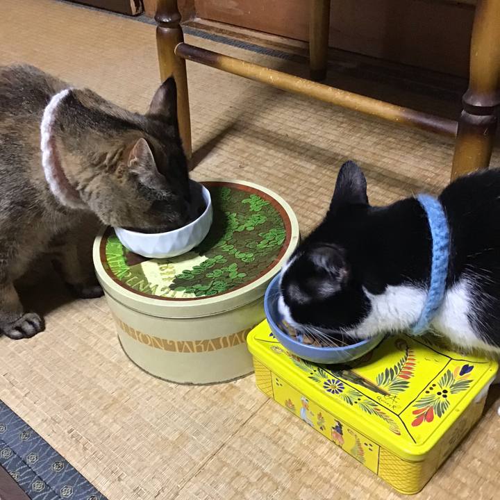 60ec4cb6 b69d 47eb 950b e3e55ff7fc54 1747559509482