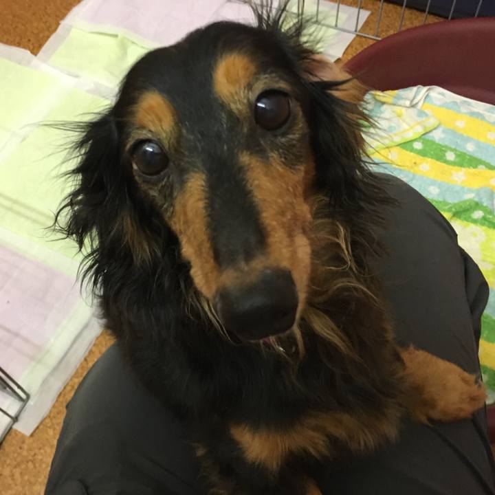 60ec64d0 f7b3 4517 88fc 97eb393d784f 1509880627072