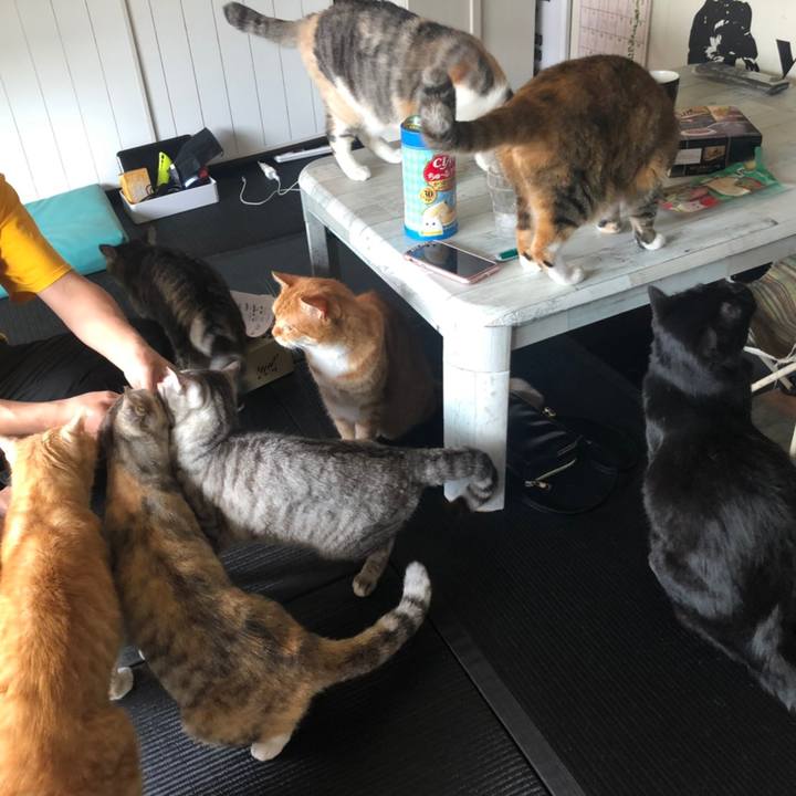 60eca3ca 87bf 401b 9f52 1840e939941b 1590054484647