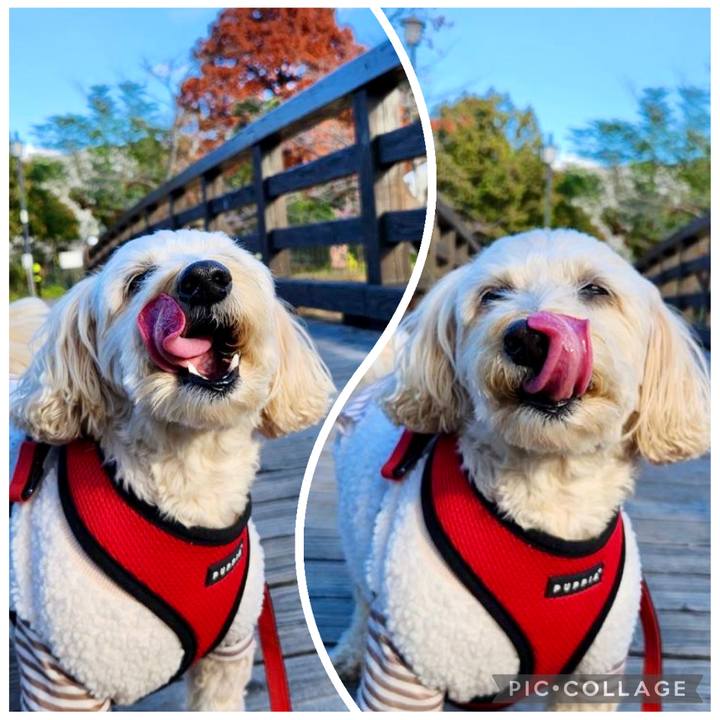 60ecc35b a22a 4907 930c a0e64cd16bff 1764831304875