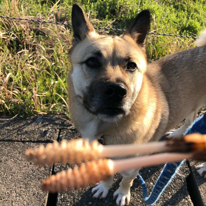 60ecd82a da48 439e bb3d e741d0be89ba 1521281230556