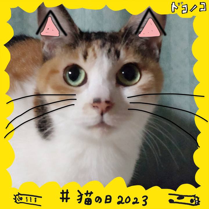 60ecedcd eef8 441b 8840 fb267c6c4656 1677067233574