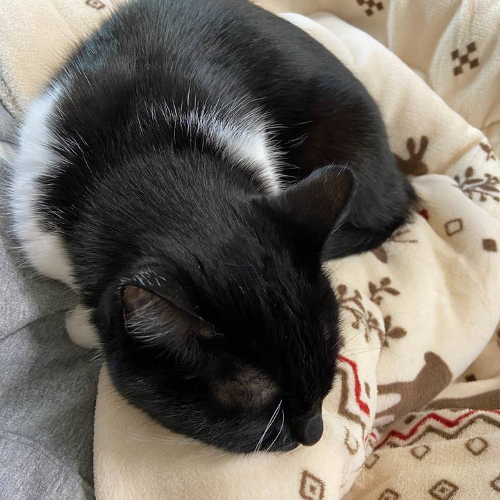 60ed182e ac32 4f66 a950 38b9588b46b9 1636762476427