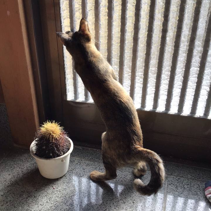 60ed2d62 a357 4f4e aee2 fb144ea81f6d 1575176814527