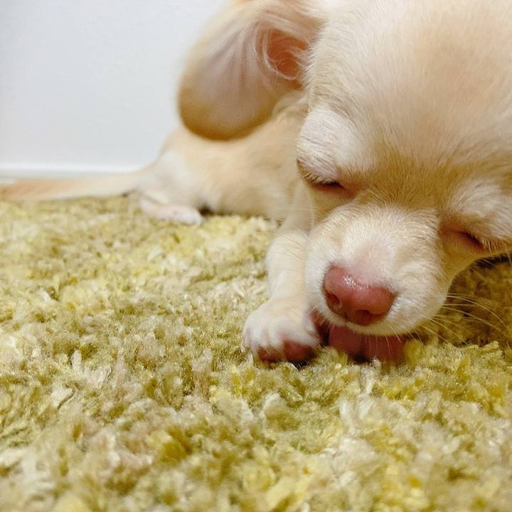 60edac51 575f 4f21 80bd b5562e2420e9 1596173403518