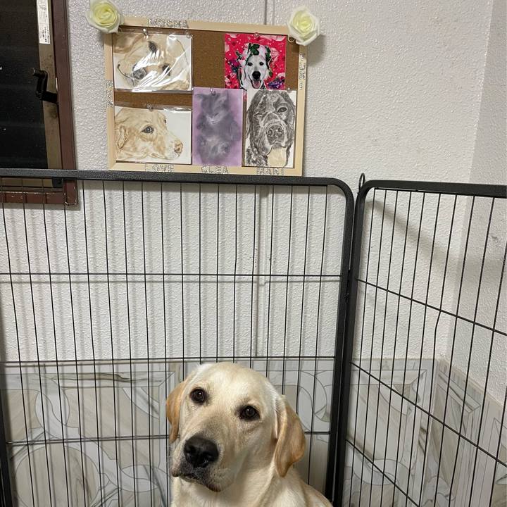 60ee10e6 2cd0 40a8 9317 25c9140da083 1637845841194