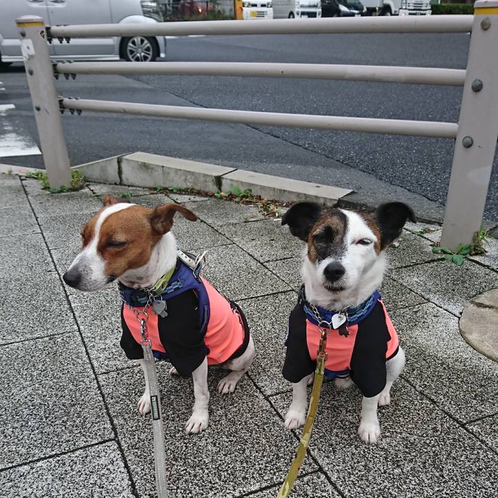 60ee86ba d6ab 4761 83b9 f5c3468c3b8d 1600904818956